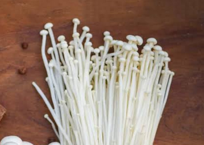 Mencegah Sembelit dengan Mengonsumsi Jamur Enoki: Solusi Alami untuk Kesehatan Pencernaan