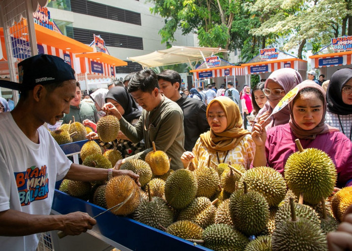 70 Petani Durian di Pekalongan Makin Berkembang Berkat Pemberdayaan BRI