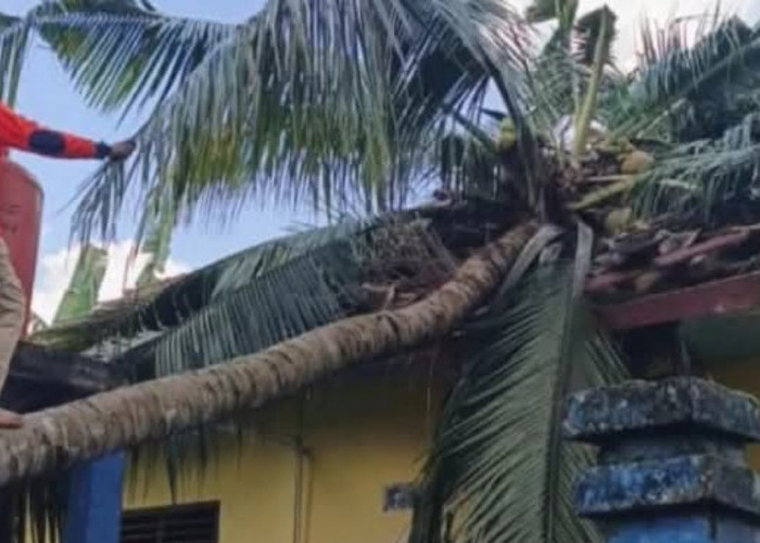 ​Angin Puting Beliung Terjang OKU Selatan, Empat Sekolah Rusak