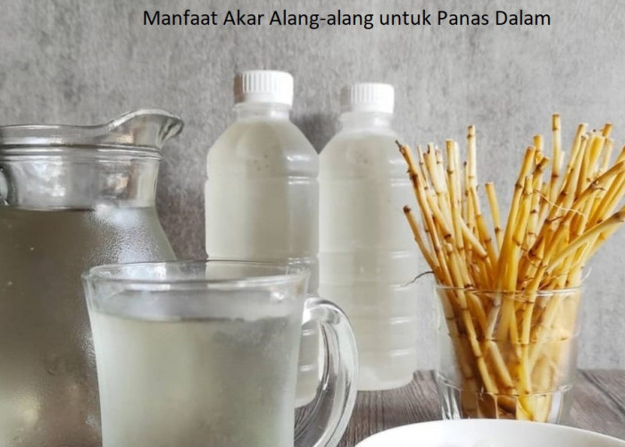 Solusi Mudah untuk Meredakan Panas Dalam: Mengonsumsi Akar Alang-Alang