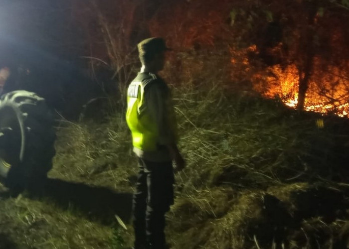 Api Kebun Tebu Meluas ke Lahan Karet Warga di Semendawai Timur OKU Timur