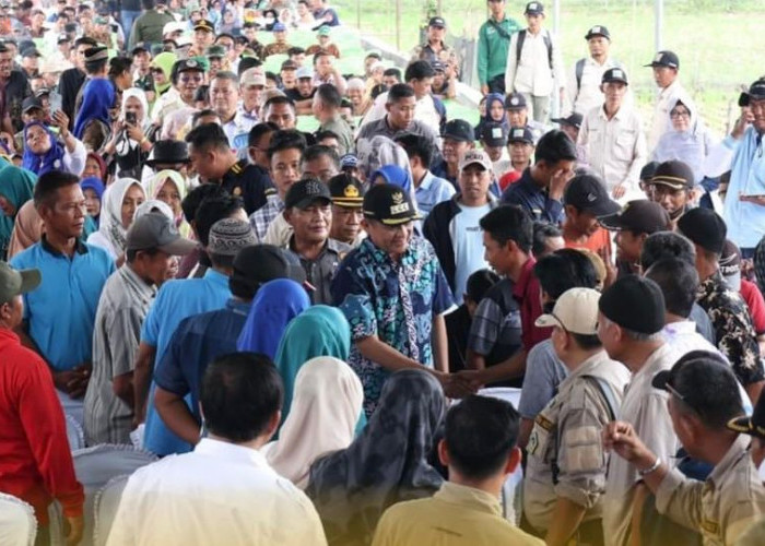 Acara Panen Raya Damarean Verietas Inpari Dibumbui Kampanye 