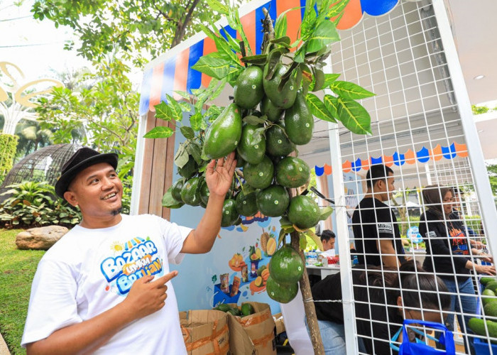 Berkat Program Pemberdayaan BRI Klasterku Hidupku, Petani Ini Berhasil Kembangkan Budidaya Alpukat