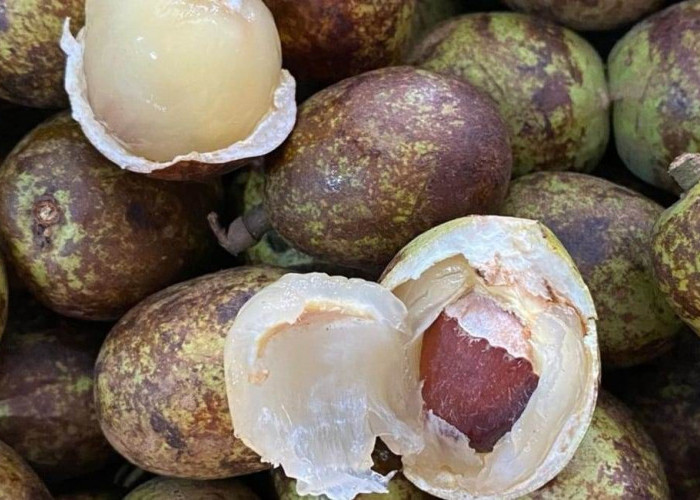 Manfaat Luar Biasa Buah Matoa untuk Kesehatan Mata