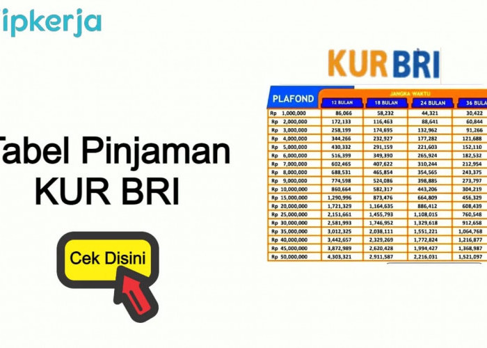 Bunga Rendah, Pinjaman KUR BRI Kian Diminati, Agus Ingin Buka Pangkalan Gas 