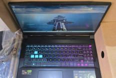 MSI Bravo 15: Laptop Profesional dengan Tampilan Mewah