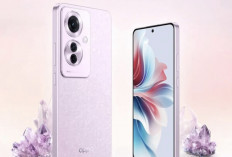 OPPO RENO 11F 5G: Hadir dengan Fitur-Fitur yang Canggih, Ini Spesifikasi dan Harganya