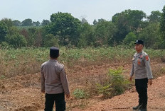 Titik Panas Terdeteksi di Martapura, Polsek OKU Timur Cek Lokasi Berbatasan dengan Puslatpur TNI AD