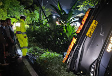 Bus Masuk Jurang di Lahat, Laporan Darurat 110 Selamatkan Penumpang