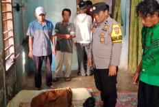 Polisi Pastikan Kematian Pria di Madang Suku III Murni Musibah