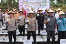 Polda Sumsel Tanam 1,4 Ton Bibit Bawang Putih untuk Perkuat Ketahanan Pangan