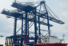 Tingkatkan Layanan Terminal Peti Kemas, Pelindo Datangkan Alat Bongkar Muat Baru