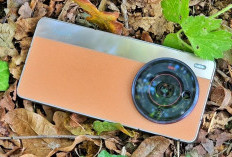 Nubia Z50s Pro: Layar 144Hz yang Bikin Game Anda Lancar Seperti Kilat, Harga Terjangkau