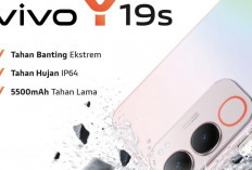 Vivo Y19s: Hp Berkualitas dengan Harga Murah