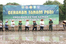 Program Presiden Sukses di OKUT, Bupati Enos Wujudkan Peningkatan Produksi Beras, OPLAH Hingga Cetak Sawah