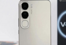 Vivo V40 Lite 5G: Layar AMOLED 120Hz, Kamera Sony 50MP, dan Baterai Besar 5.500mAh dengan Harga di Bawah 4,5Ju
