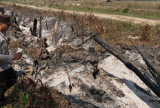 Petugas Cek Titik Hotspot di Buay Madang OKU Timur, Lahan Semak Belukar 0,5 Hektare Ditemukan Padam