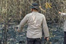 Deteksi Titik Hotspot BRIN, Polsek Madang Suku I Temukan Lahan Gambut Seluas 1Ha Terbakar