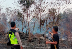 Kebakaran Lahan Gambut PT GNS di OKU Timur, Polsek Cempaka Padamkan 3 Titik Hotspot