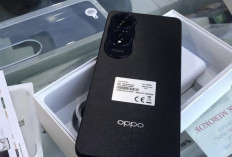 OPPO A60: Hp Entry Level dengan Spesifikasi Gahar, Harga Makin Turun