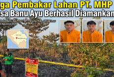 Polres OKU Timur Tangkap Tiga Pelaku Pembakaran Lahan PT MHP