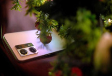 OPPO Reno8 4G: Smartphone Stylish dengan Performa Canggih dan Fitur Fotografi Mengagumkan