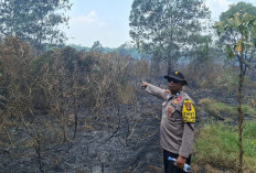 Lagi, Satelit Deteksi Titik Hotspot di OKU Timur, Polsek Madang Suku I Sisir Lahan Sawah
