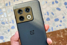 OnePlus 10 Pro: Kamera Hasselblad yang Mengubah Fotografi Smartphone menjadi Seni Tinggi