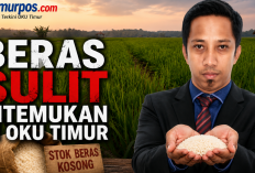 Padi Melimpah Beras Langka: Ada Apa dengan Rantai Pasok OKU Timur?