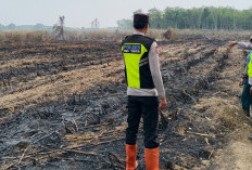 Pengecekan Hotspot di Desa Suka Jaya, Polsek Belitang II Temukan 1 Hektare Lahan Tebu Terbakar