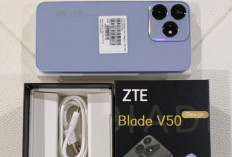 ZTE Blade V50: Smartphone Stylish dengan Kinerja Unggul dan Harga Terjangkau