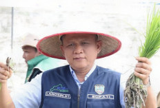 Tanam Serentak Sumsel, Bupati Lanosin Fokus Jaga Stabilitas Pangan OKU Timur