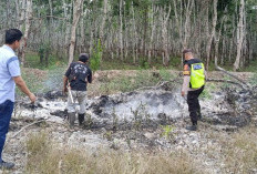 Deteksi Titik Hotspot dari Aplikasi Stop Karhutla, Polsek Belitang II OKU Timur Cek Lokasi di Bangunrejo