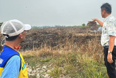 Karhutla Capai 45 Hektare di OKU Timur, Pemkab Siapkan Posko dan Pertimbangkan Water Bombing