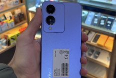 Vivo Y17s: Desain Ramping, Performa Bertenaga, Layar Cemerlang, dan Fitur Kamera Canggih 