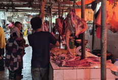 Jelang Lebaran Idulfitri 2026, Harga Daging Meroket Rp150 Ribu
