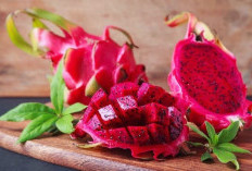Kenali Manfaat Buah Naga Merah, Menjaga Berat Badan Ideal