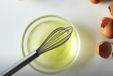 Manfaat Putih Telur yang Tidak Banyak Orang Tau, Salah Satunya Dapat Membantu Menurunkan Berat Badan