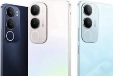 Keunggulan Jika Kamu Membeli Hp Vivo Y19s, Terjangkau dan Tidak Rugi