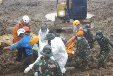 Evakuasi Longsor Cisarua 127 Korban ditemukan, Pencarian Focus ke Sektor A2