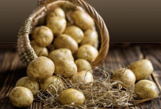 Kentang, Selain Kaya Vitamin C, Ternyata Dapat Menjaga Kesehatan
