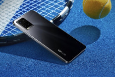 Vivo Y33s: Kamera 50 MP, Baterai 5000 mAh, Harga Terjangkau