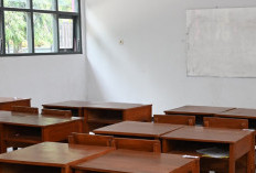 Kemendikdasmen Gelontorkan Rp101 Miliar Revitalisasi 142 Satuan pendidikan se-Kabupaten Jember