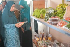 Pembinaan PKK di Belitang Madang Raya, Sheila Noberta Ingatkan Kader Taat Pedoman Rakernas