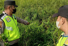 Pantau Aplikasi Stop Karhutla, Polsek Cempaka Verifikasi Titik Api di Desa Campang Tiga Ulu