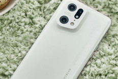 OPPO Find X5 Pro: Flagship Killer dengan Kamera Hasselblad 50MP yang Bikin Foto Pro-Level di Genggaman Anda