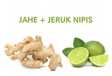 6 Manfaat Jahe dan Jeruk Nipis Bagi Kesehatan Salah Satunya Dapat Menjaga Kesehatan Rambut dan Kulit