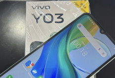 VIVO Y03: Spesifikasi Smartphone Mempuni dengan Sertifikasi IP64
