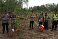 Penanaman Jagung 1 Desa 1 Hektar Polsek Belitang III Dukung Ketahanan Pangan