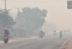 Kabut Asap Tebal Kembali Selimuti Jalintim Palembang–Jambi di Musi Banyuasin